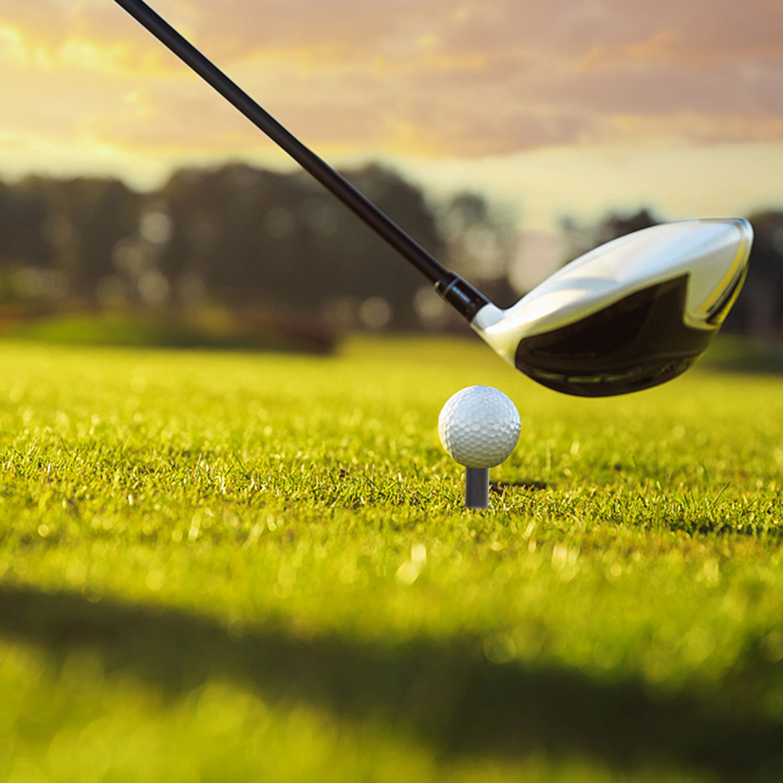 9 Buah Aksesori Tee Golf untuk - Practice Equipment For Golf ulasan dan harga